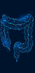 Anorectal